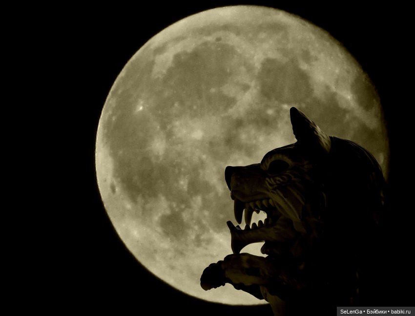 Скрытое становится явным — Кукольные фотоистории и сериалы: комиксы