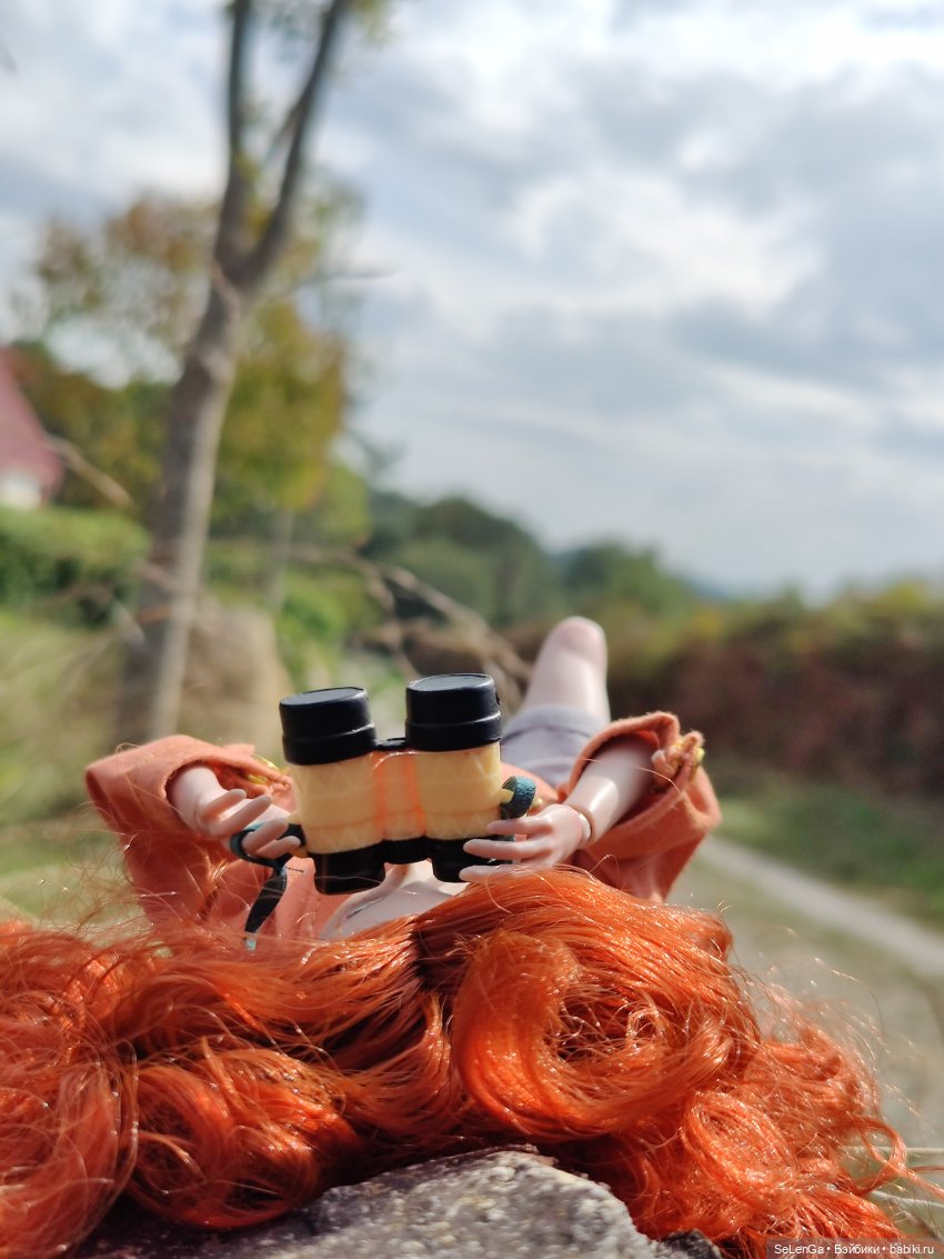 Птичье сафари или birdswatching (фото 5)