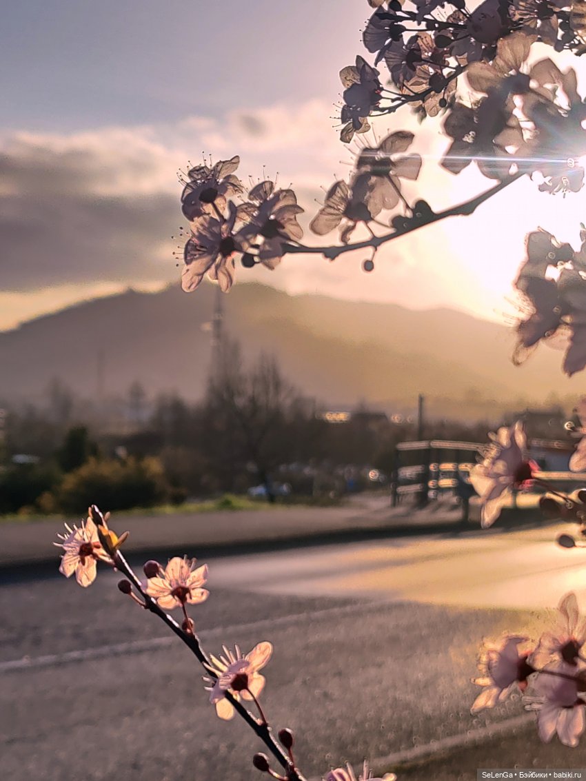 Цветочки vs Граффити — Куклы Barbie (Барби): Looks (фото 10)