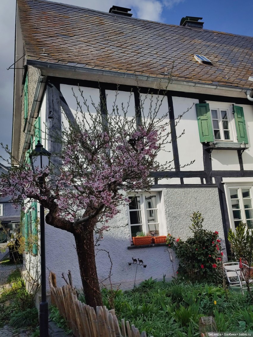 Фахверковые домики Фройденберга