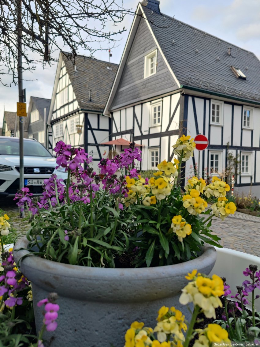 Фахверковые домики Фройденберга