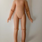 Шарнирное тело Паола Рейна