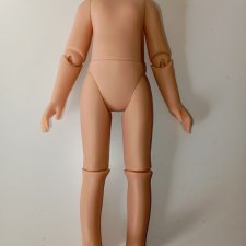 Шарнирное тело Паола Рейна