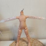 Шарнирное тело Ромакс для Паола Рейна