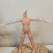 Шарнирное тело Ромакс для Паола Рейна