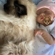 Малышка Изабелла