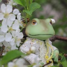 Весенняя прогулка Ксавьера