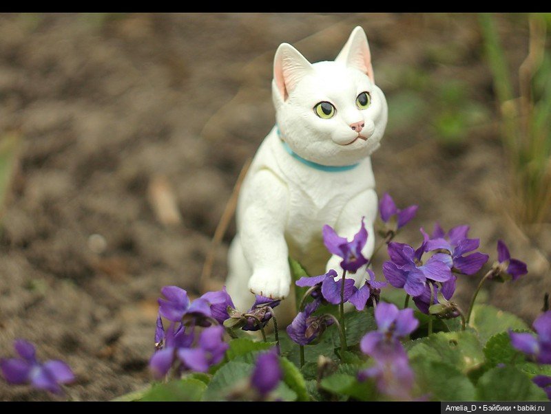 Весенние котики — Разные куклы BJD (БЖД): редкие бренды (фото 9)