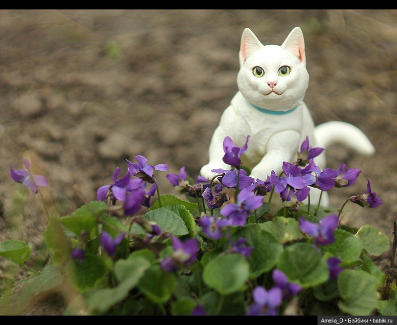 Весенние котики | Бэйбики Весенние котики — Разные куклы BJD (БЖД): редкие бренды (фото 7)