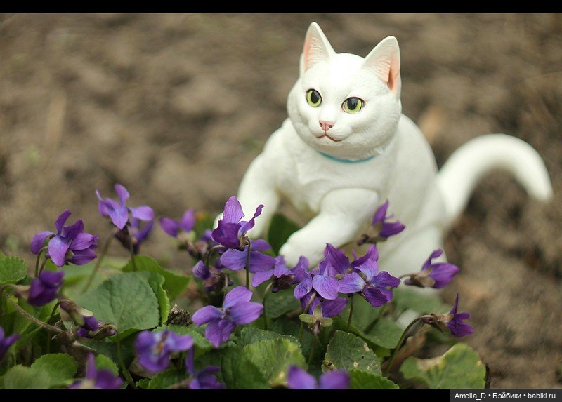 Весенние котики | Бэйбики Весенние котики — Разные куклы BJD (БЖД): редкие бренды (фото 8)