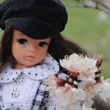 Время цветущих деревьев