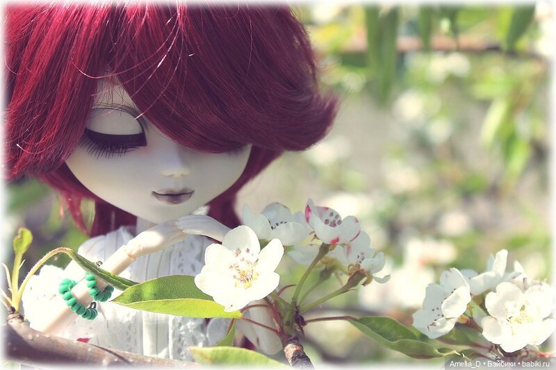 Из жизни пчел — Куклы Pullip (Пуллип)