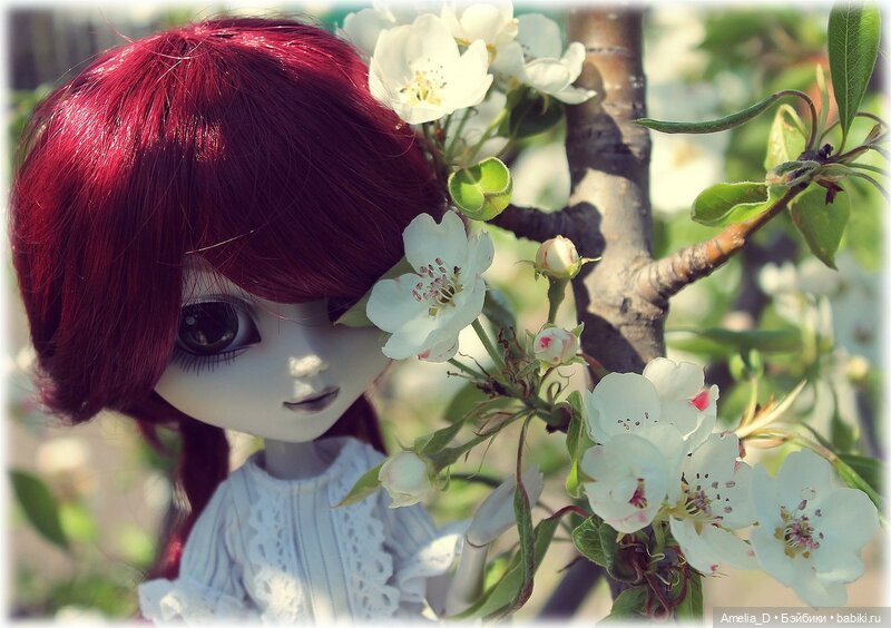 Из жизни пчел — Куклы Pullip (Пуллип) (фото 3)