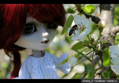 Из жизни пчел — Куклы Pullip (Пуллип) (фото 8)