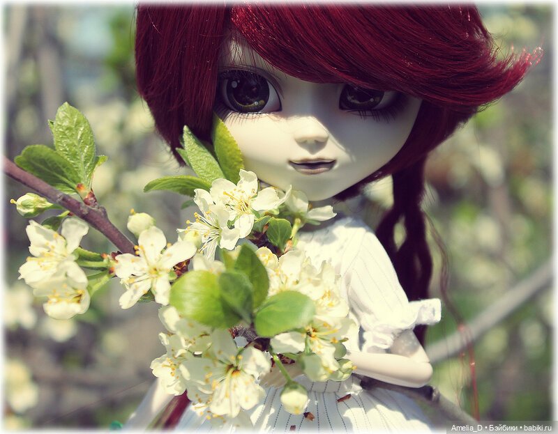 Из жизни пчел — Куклы Pullip (Пуллип) (фото 5)