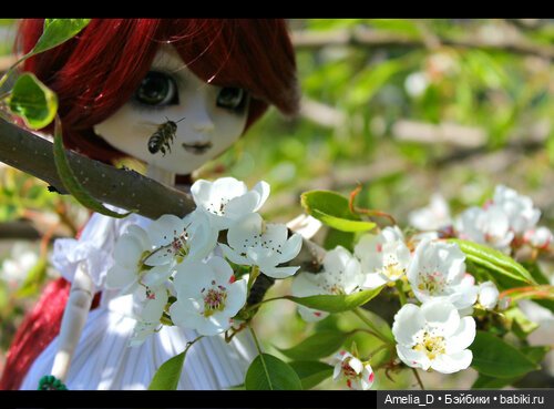 Из жизни пчел — Куклы Pullip (Пуллип) (фото 9)