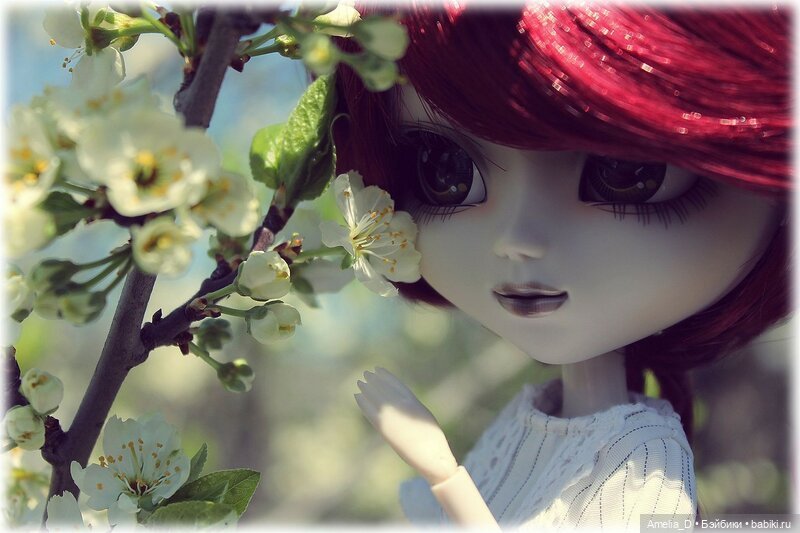 Из жизни пчел — Куклы Pullip (Пуллип) (фото 6)