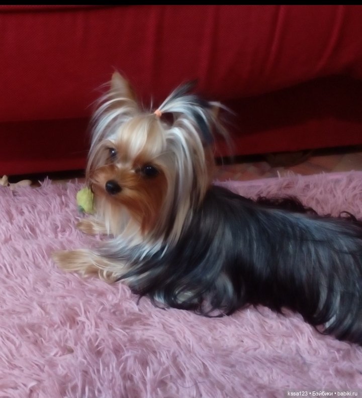 Мы, тоже с поддержкой. Держитесь!