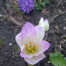 Весенняя прогулка