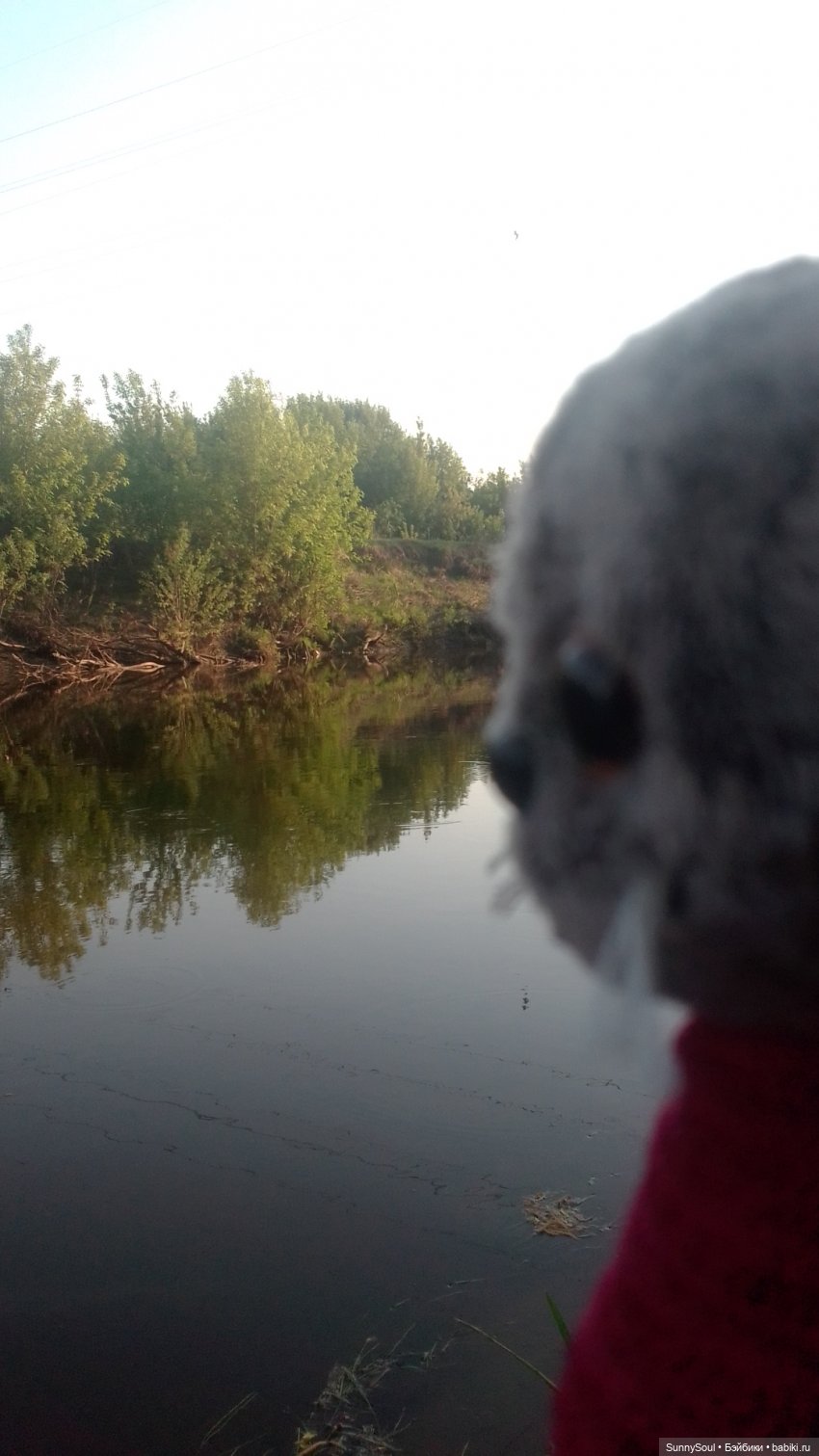 Прогулка — Интересные игрушки и фигурки (разное): редкие