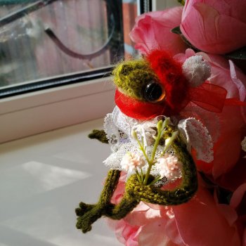 Лягушка-путешественница или долгий путь француженки в Испанию