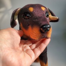 Бездомный пёсель ищет дом