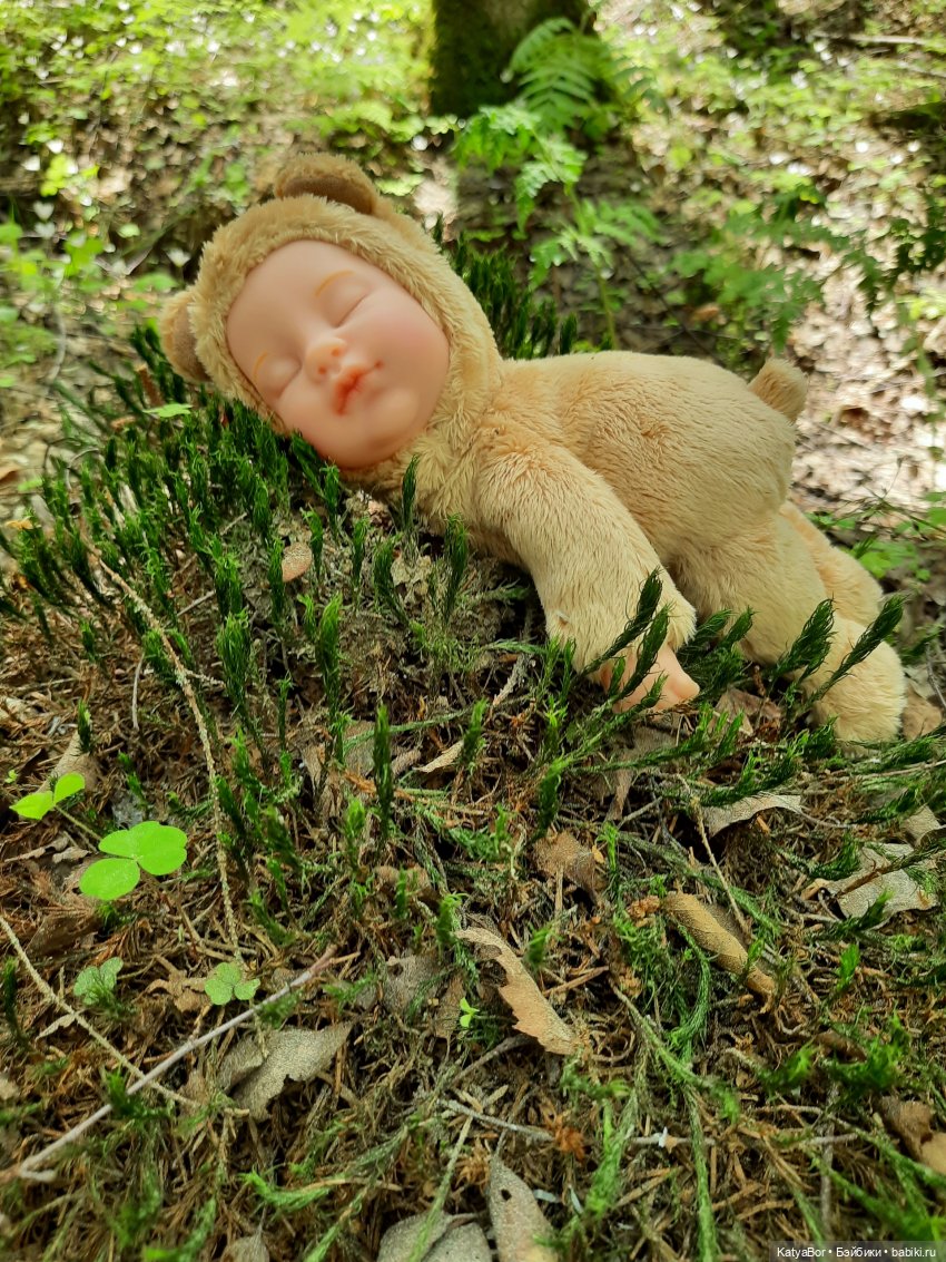 Как в саду гномочка появилась (фото 4)