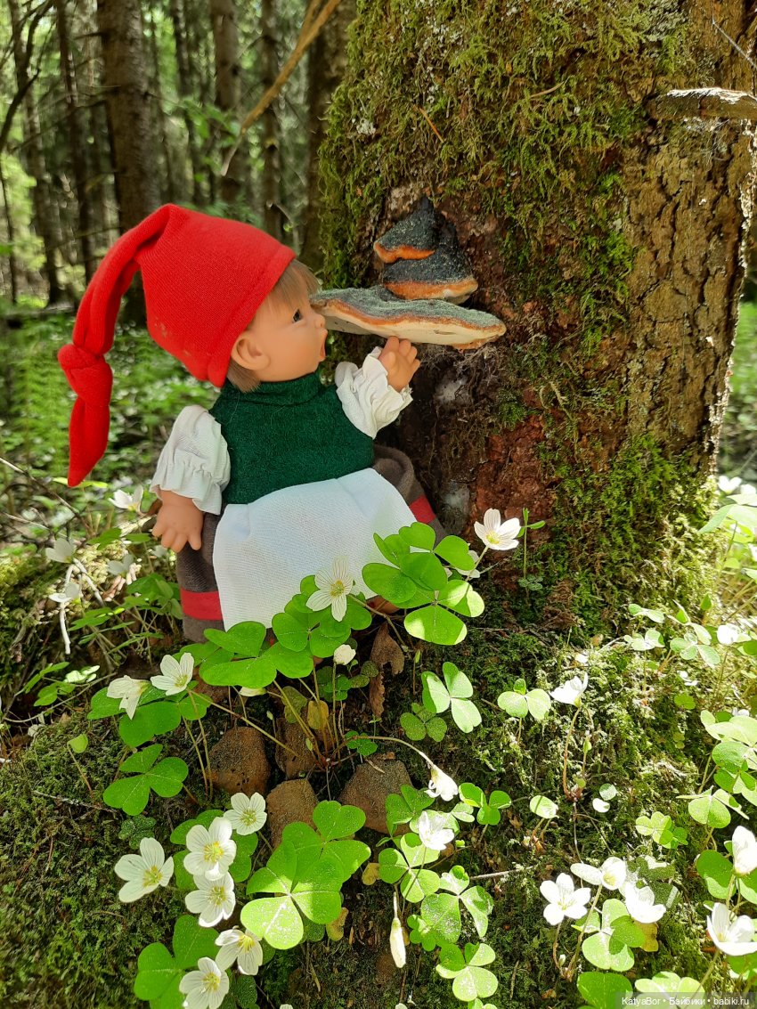 Как в саду гномочка появилась