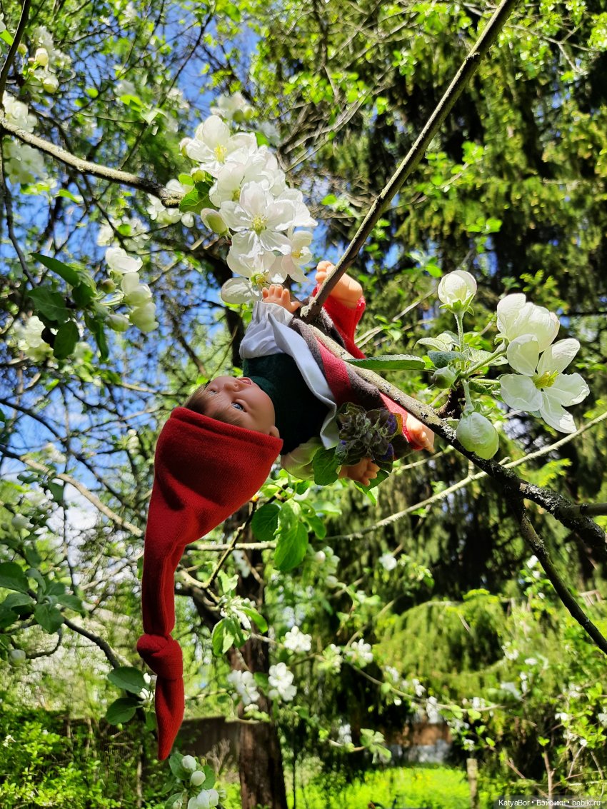 Как в саду гномочка появилась