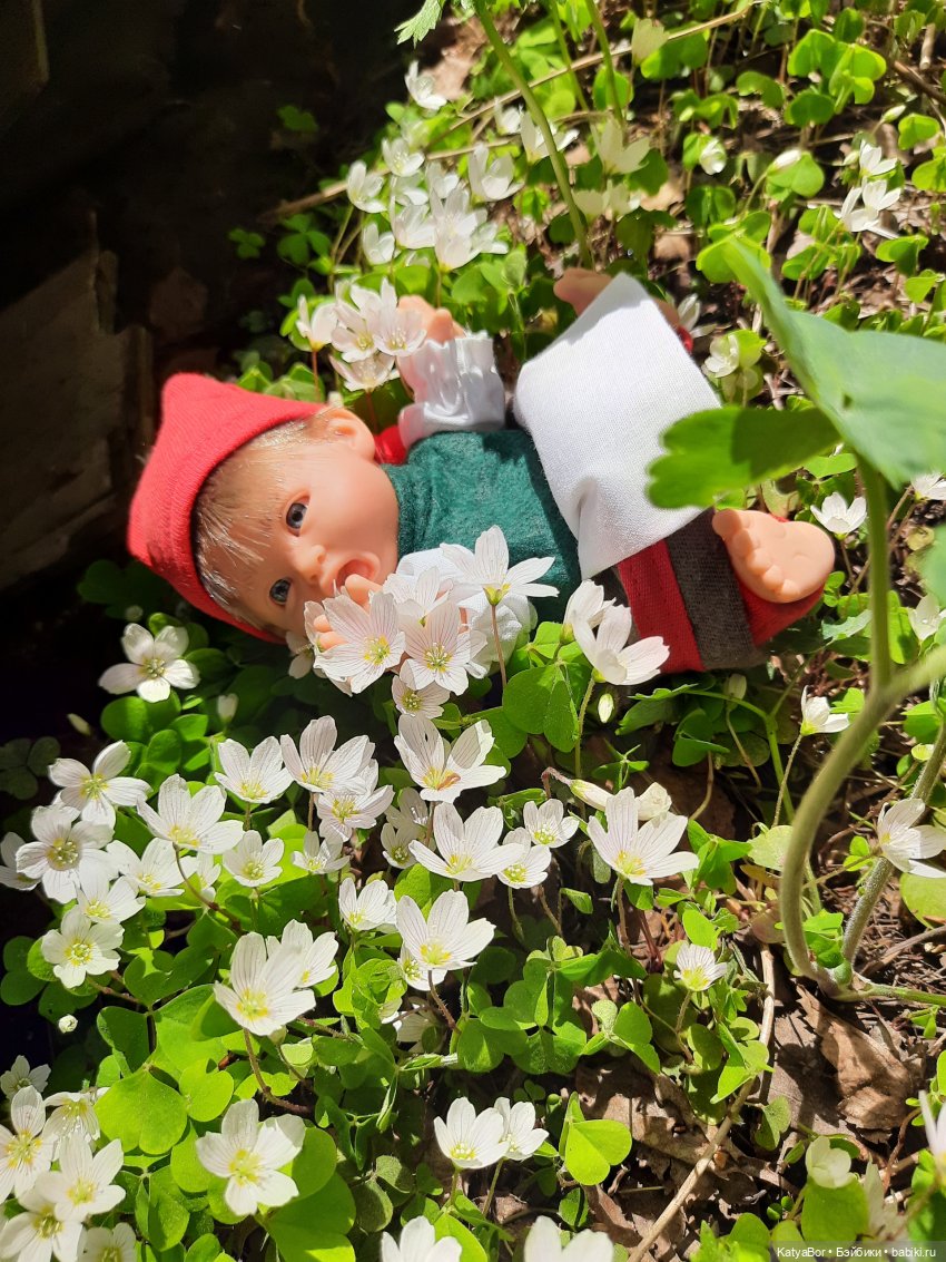 Как в саду гномочка появилась