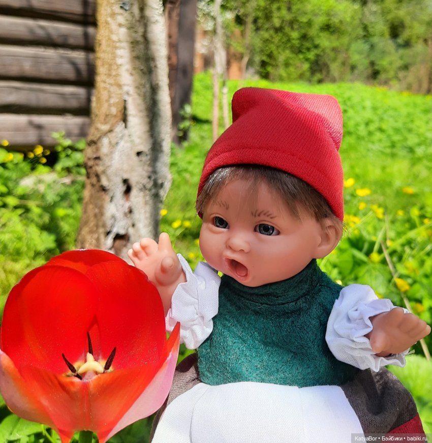 Как в саду гномочка появилась