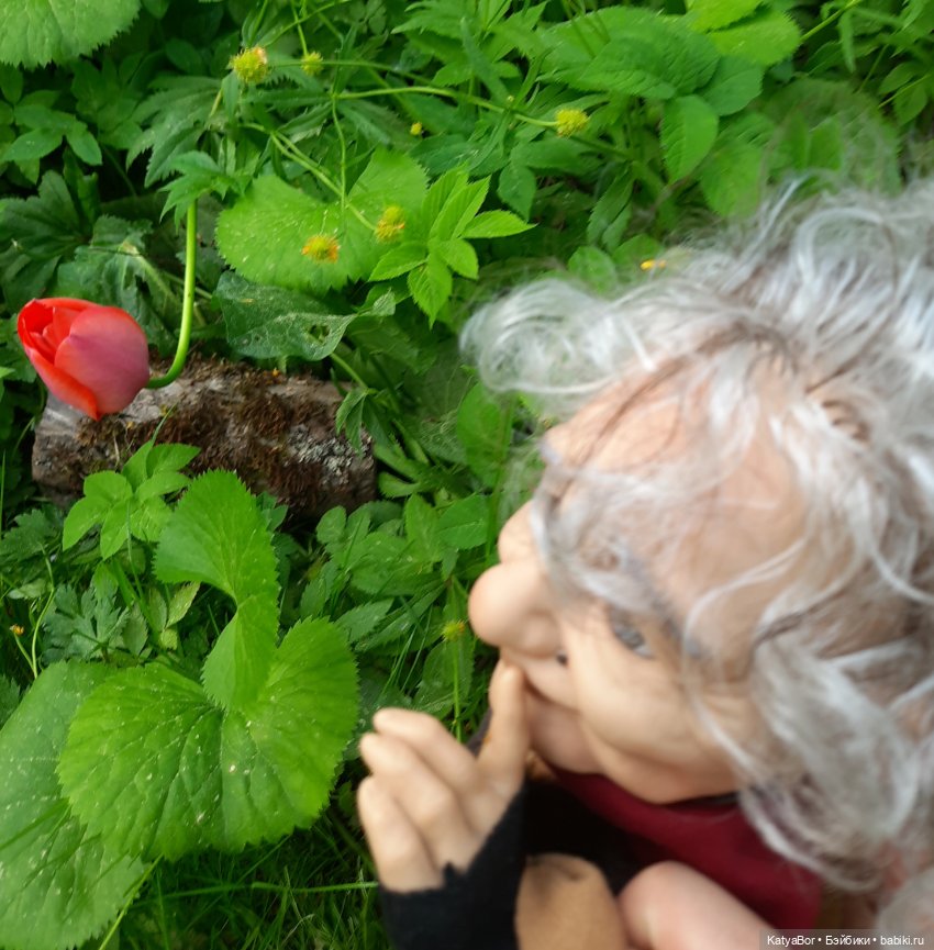 Как в саду гномочка появилась (фото 10)