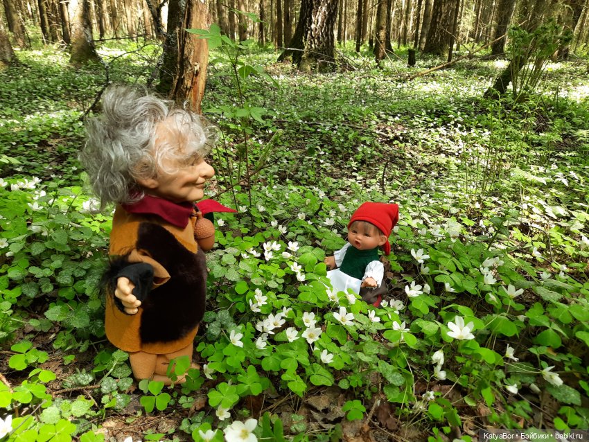 Как в саду гномочка появилась