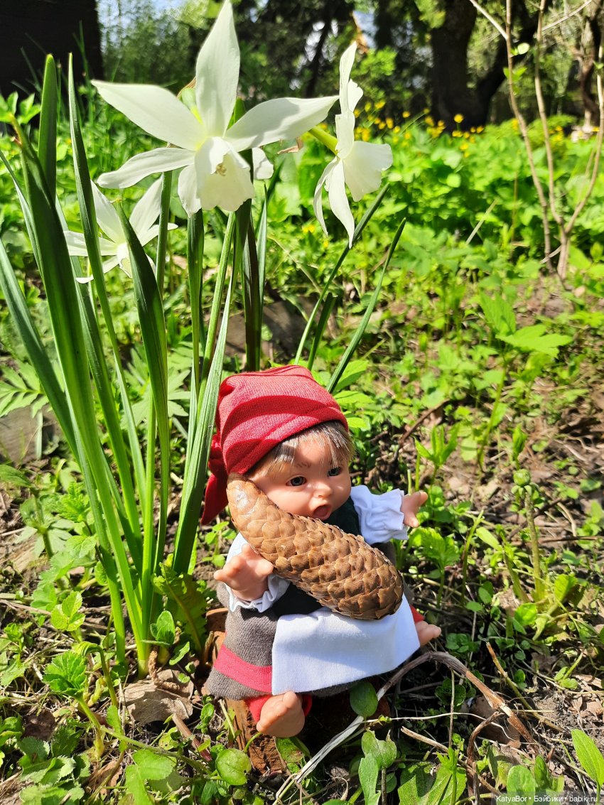 Как в саду гномочка появилась