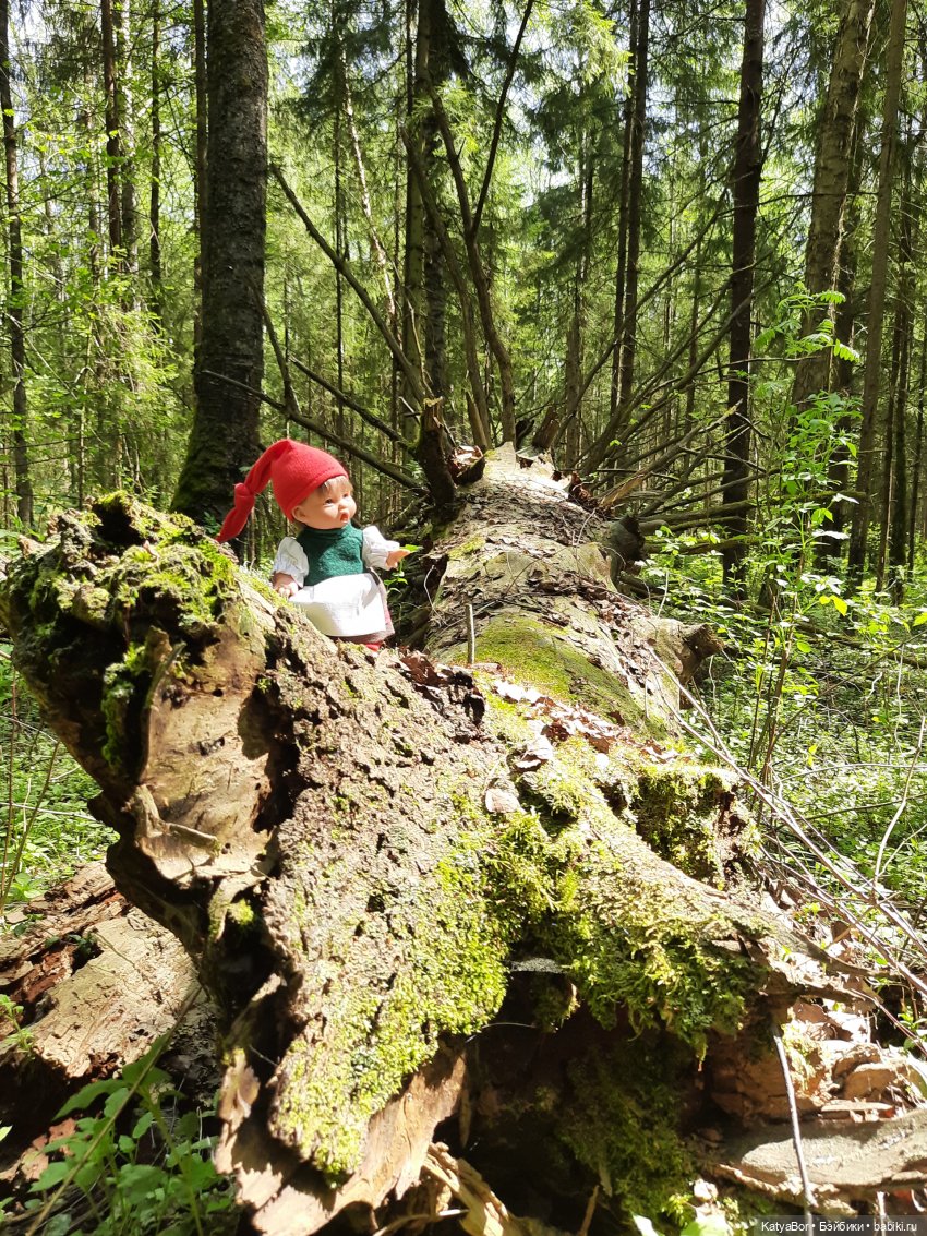 Как в саду гномочка появилась