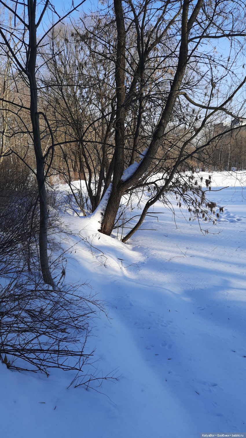 Праздничная прогулка (Ханна Ruby Red) | Бэйбики Праздничная прогулка (Ханна Ruby Red) (фото 10)