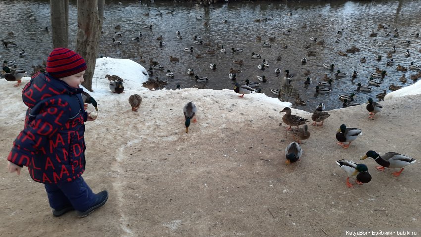 Праздничная прогулка (Ханна Ruby Red) | Бэйбики Праздничная прогулка (Ханна Ruby Red) (фото 7)