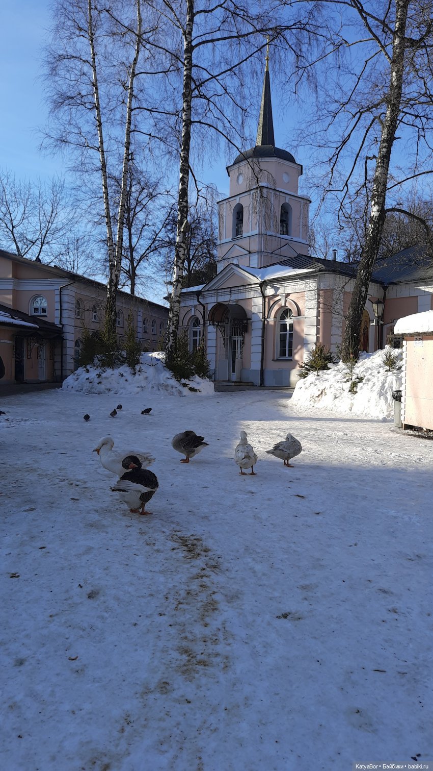 Праздничная прогулка (Ханна Ruby Red) | Бэйбики Праздничная прогулка (Ханна Ruby Red) (фото 6)