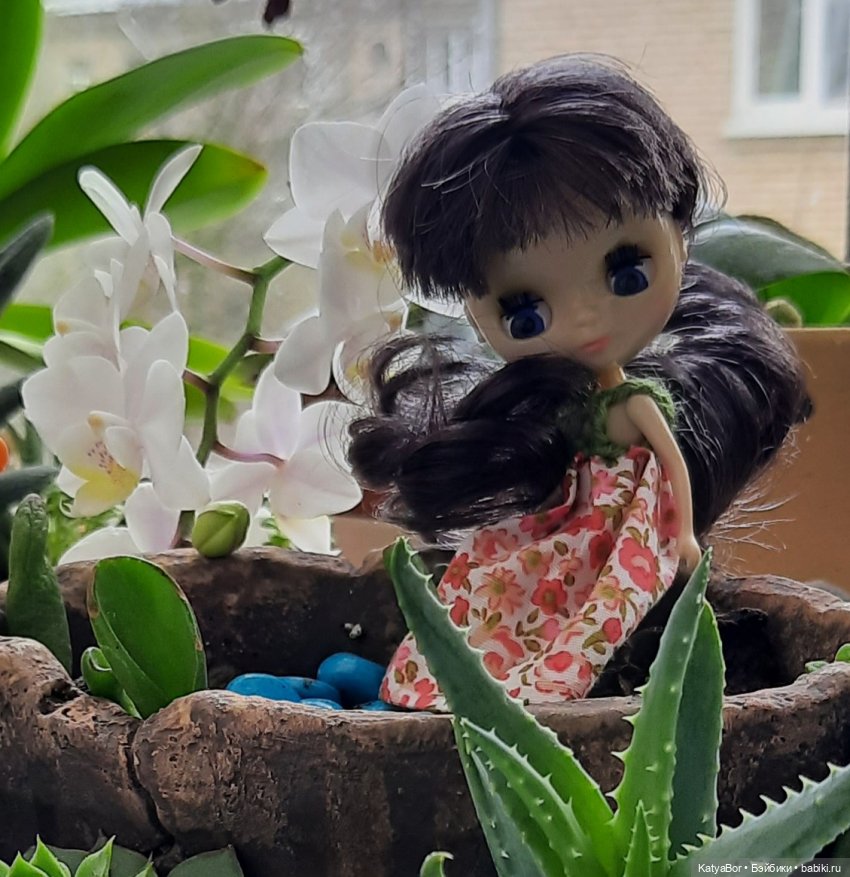 Еще одно крошечное соБЛАЙЗнение и наш зимний сад