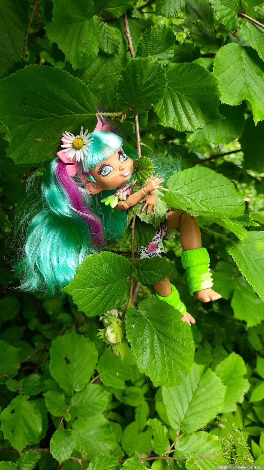 Дачные сказки После дождя (фото 4)