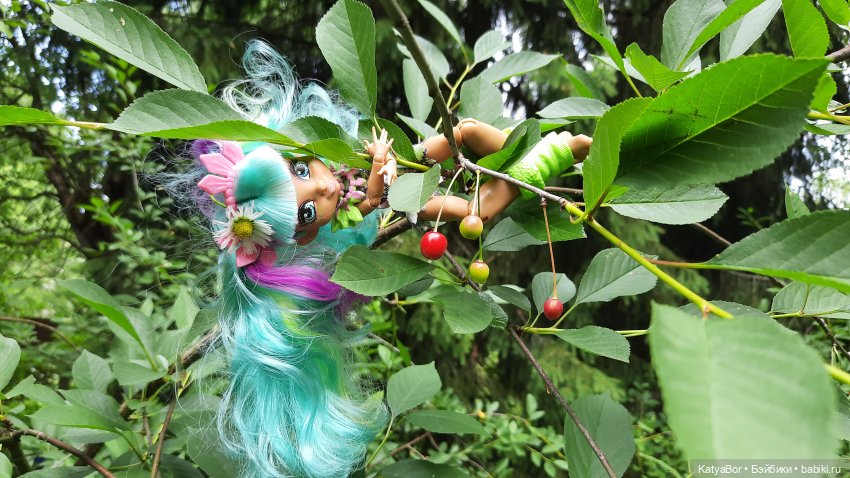 Дачные сказки После дождя (фото 8)