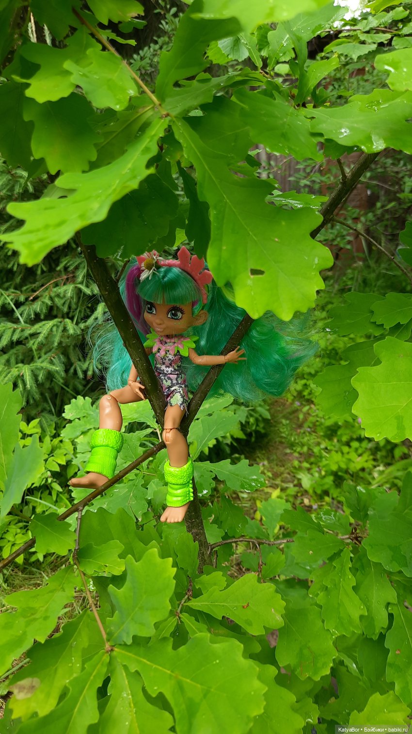 Дачные сказки После дождя (фото 7)