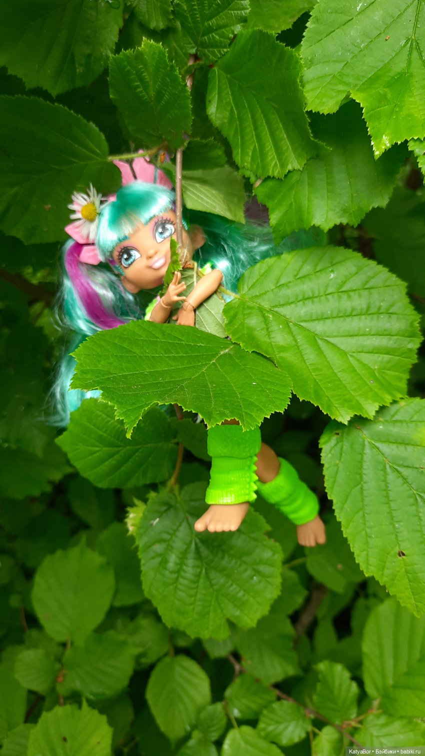 Дачные сказки После дождя (фото 5)