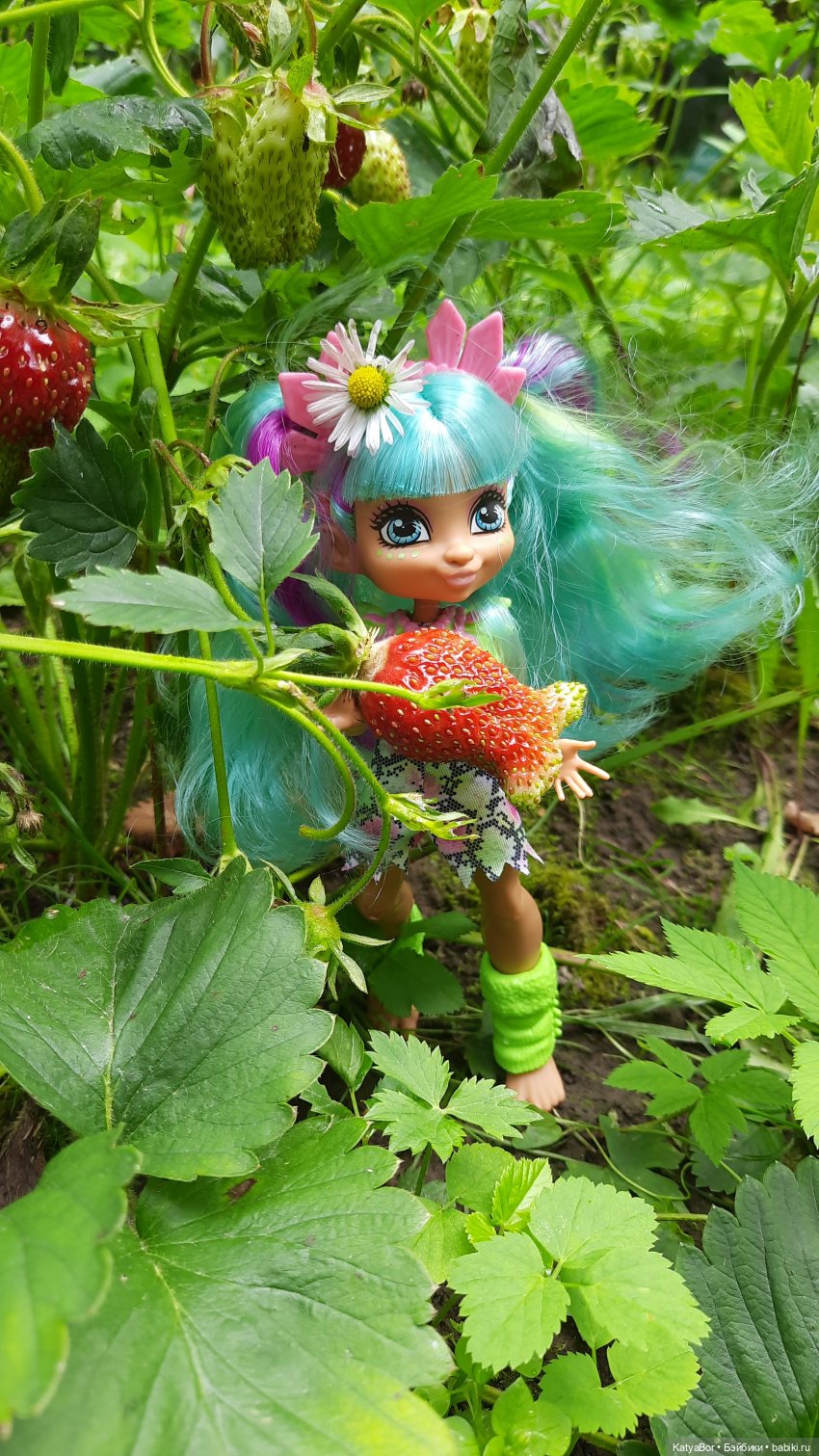 Дачные сказки После дождя (фото 3)