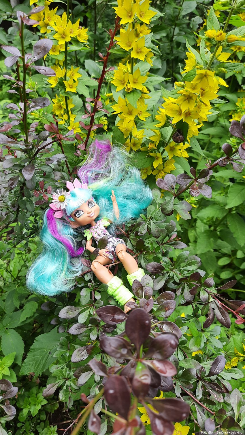 Дачные сказки После дождя (фото 2)