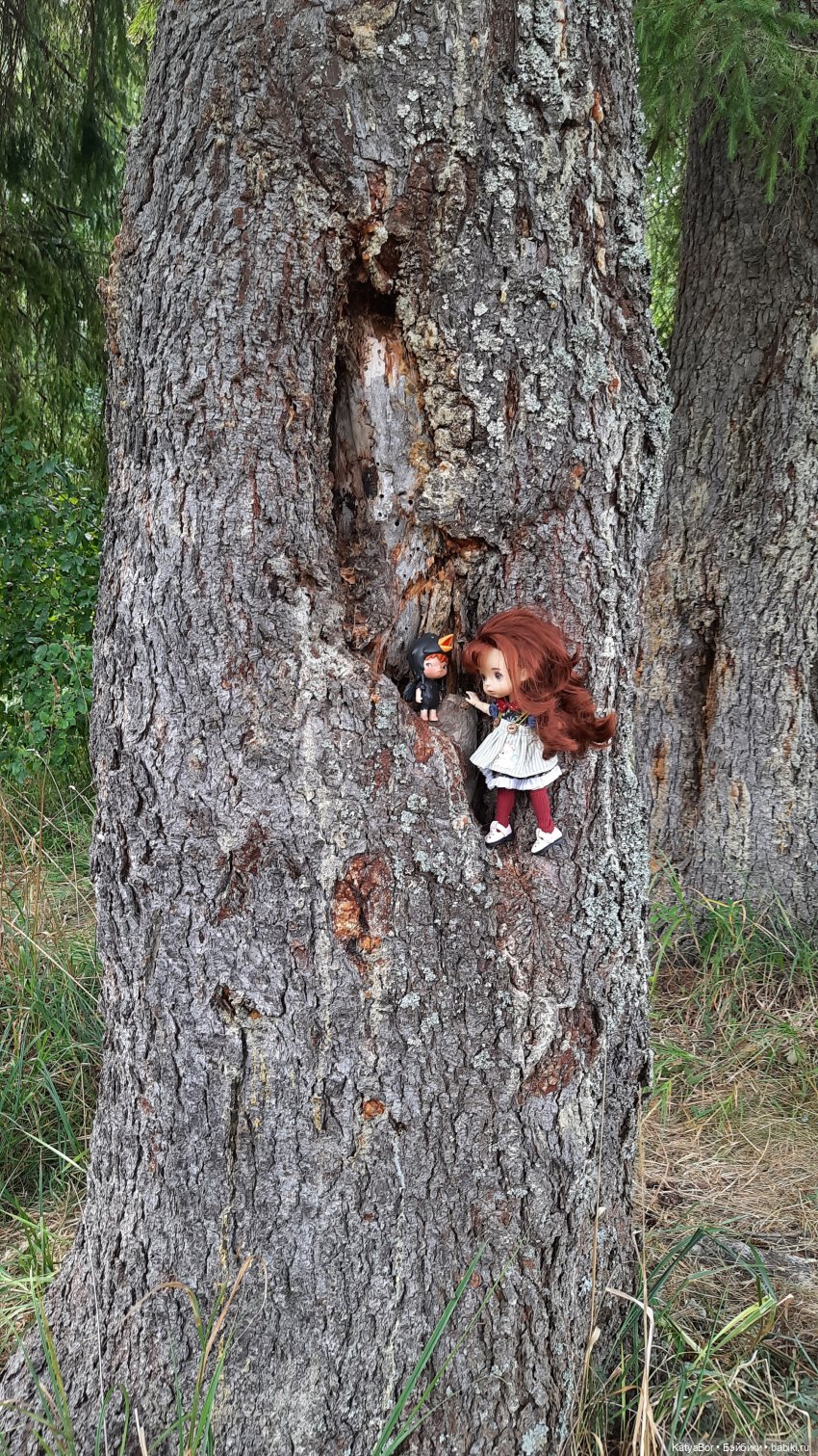 Летний "урожай" — Разные шарнирные куклы (не БЖД): редкие (фото 2)