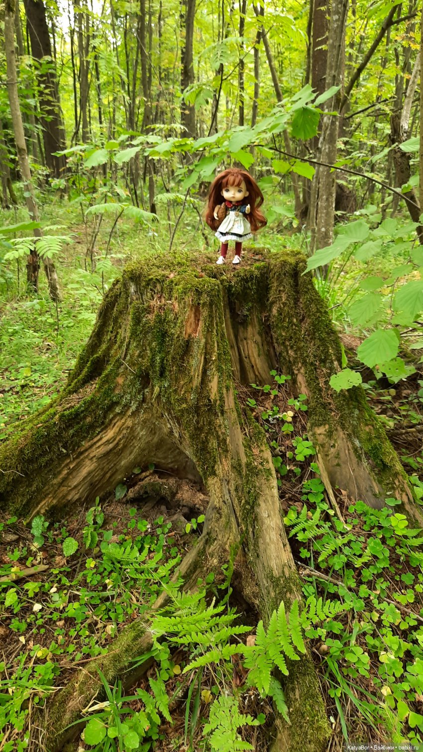 Летний "урожай" — Разные шарнирные куклы (не БЖД): редкие (фото 7)