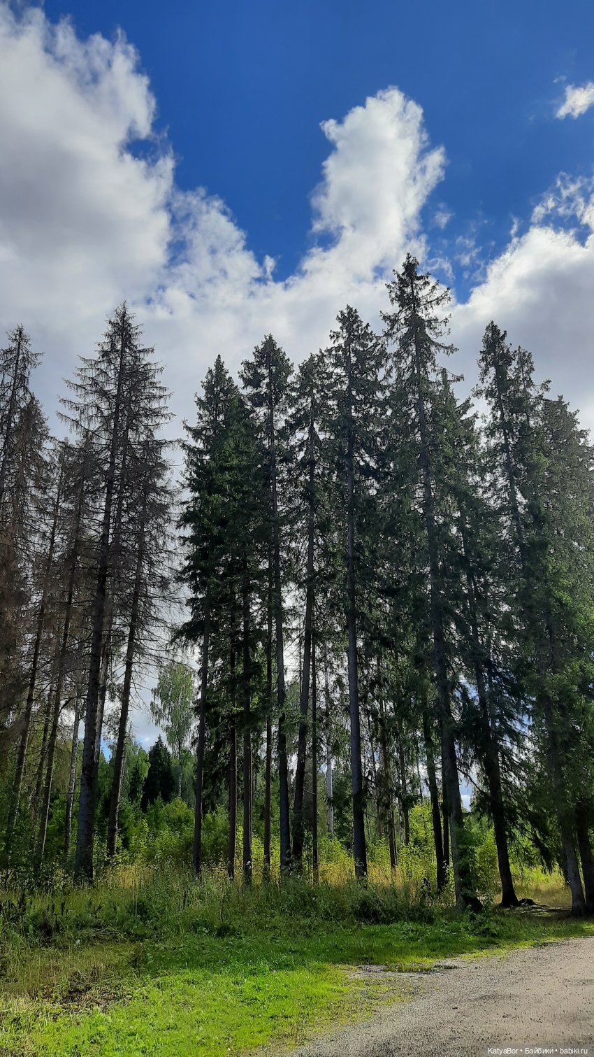 Смешные шапки (часть первая, надеюсь, не последняя)