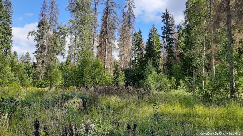 Смешные шапки (часть первая, надеюсь, не последняя)