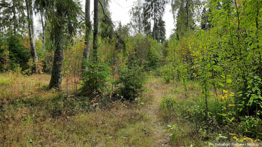 Еще вчера — Куклы Paola Reina (Паола Рейна): новинки